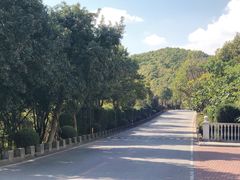 -平湖九龙山旅游度假区