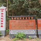 从上午十一点十五开始，一直到下午六点半，从白天走到天黑
