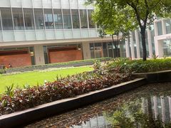 -香港大学