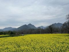 -石台牯牛降景区