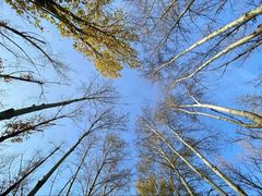 -赛汗塔拉风情园