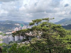 -狮子山郊野公园