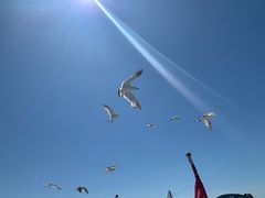 -海驴岛(荣成市)