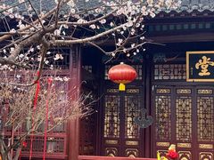 -长春观