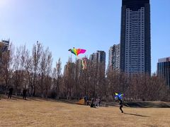 -长白岛森林公园