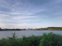 -立新湖公园