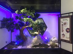 -绿茶餐厅(成都大悦城店)