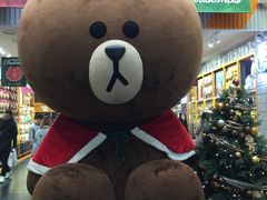 -line friends(明洞旗舰店)