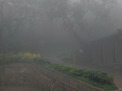 -普陀山慧济禅寺