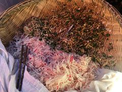 -半月镰胡姐脆皮萝卜饺子