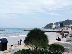 -杨梅坑