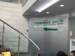 -爱侣宠医·鹦鹉专科·小型哺乳类·异宠专科(灵石路店)