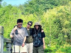 -素山寺森林公园