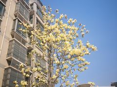 -圩墩遗址公园