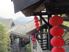 -大唐贡茶院