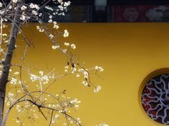 -西园寺素食(西园弄戒幢律寺店)