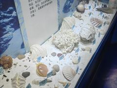-温州博物馆