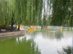 -团结湖公园