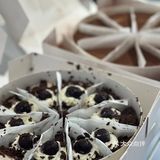 新塘·日进斗金 隐藏在老城区的网红打卡店~