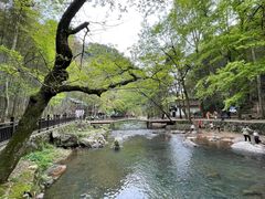 -五泄景区