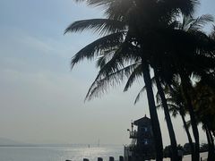 -深圳湾公园(南山区)