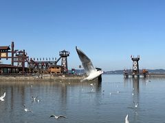 -三国水浒景区(无锡影视基地)