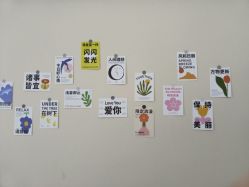 -莱可美科技美肤