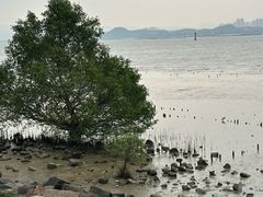 -深圳湾公园(南山区)