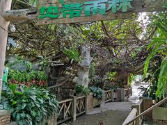 -青青世界