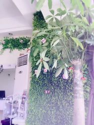 -HC美甲美睫皮肤管理中心