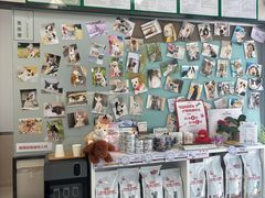 -爱妮康宠物医院·干细胞免疫细胞·肿瘤·心脏(张江店)