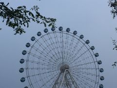 -秦皇岛乐岛海洋王国