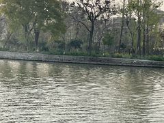 -东湖景区