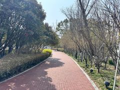 -金鸡湖桃花岛