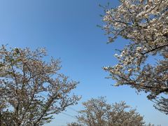 -长田漾湿地公园