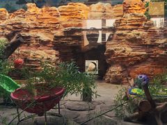 -石家庄市动物园