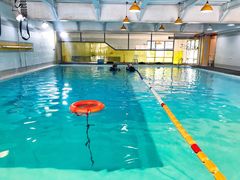 -上海潜殿潜水中心