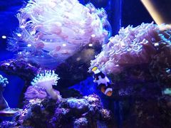 -趣陶陶艺手工坊(新世界百货重庆店)