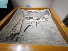 -洛阳周王城天子驾六博物馆