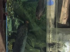-梦幻海洋王国(吾悦广场张家港店)