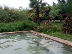 -咸宁万豪温泉谷度假区