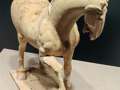 -陕西历史博物馆