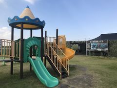 -南汇嘴观海公园