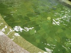 -南宫温泉水世界