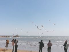 -老虎石海上公园