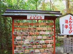 -野宫神社