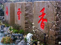 -香雪海