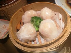-南枝记