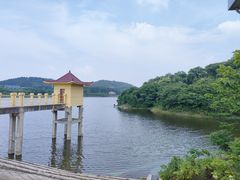 -青龙山国家森林公园