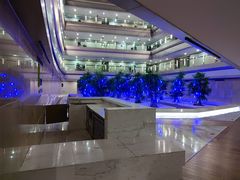 -南京禄口机场雅高铂尔曼大酒店